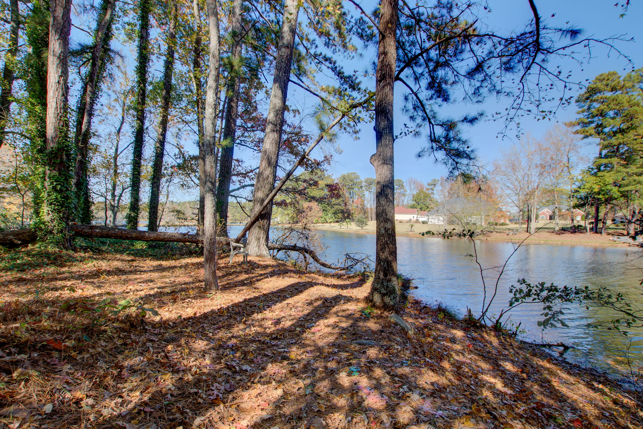 13 Ext Back Yard w Lake Front A