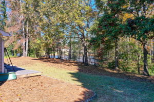 33 Aerial Back Yard w Patio Reference + Lake View B