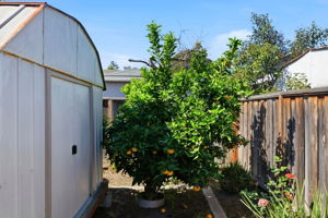 042_f8_219 Verbena Dr