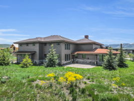 Back and Patio
