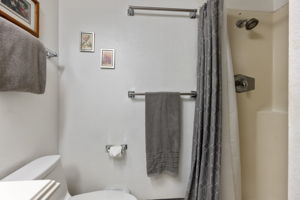  Photo 49
