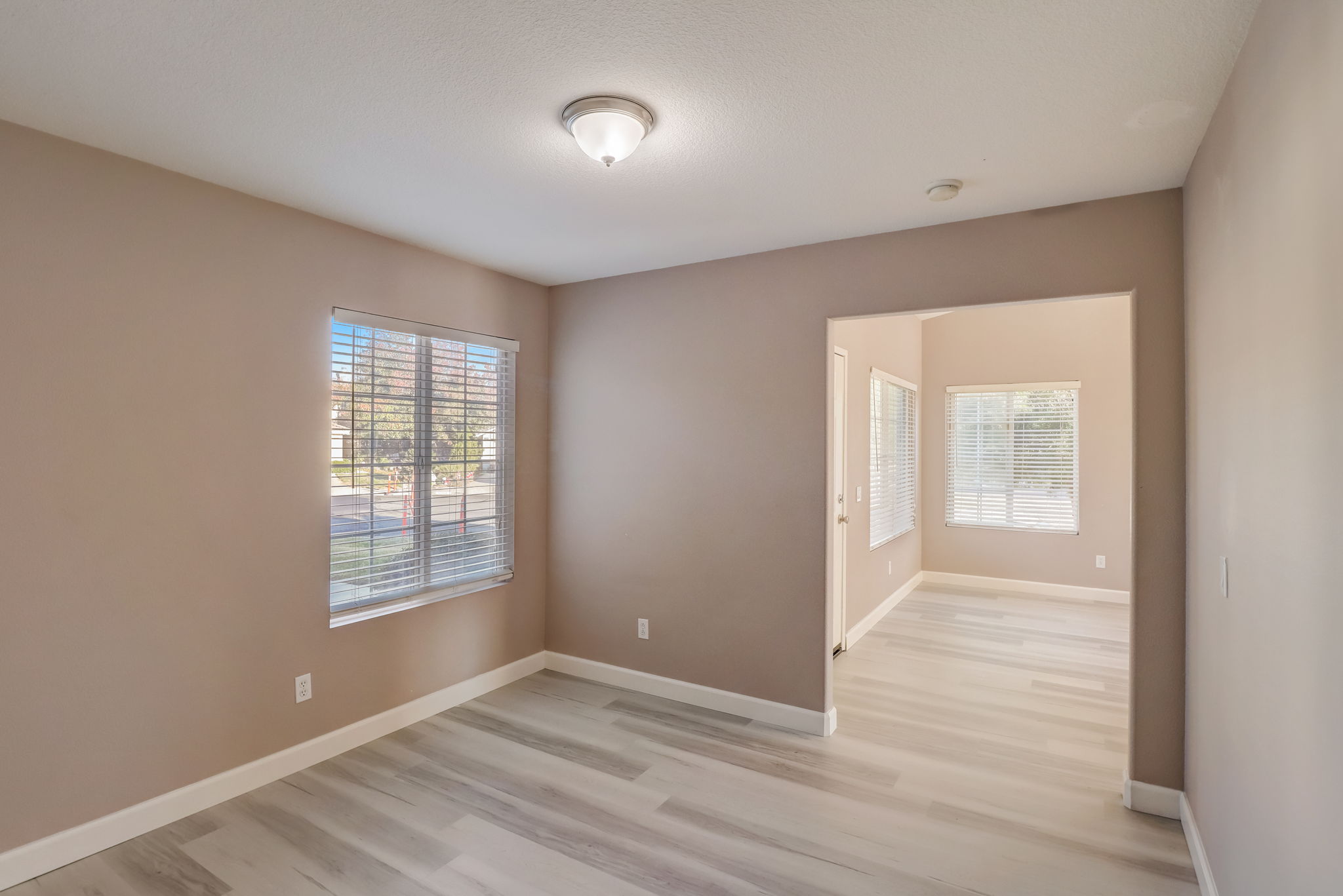 Heliotrope Ln-013