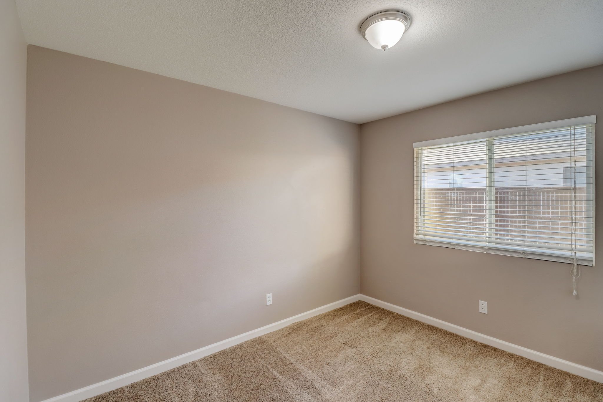 Heliotrope Ln-015