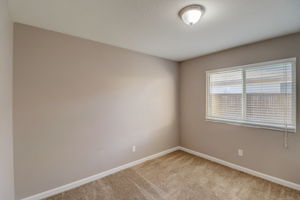 Heliotrope Ln-015