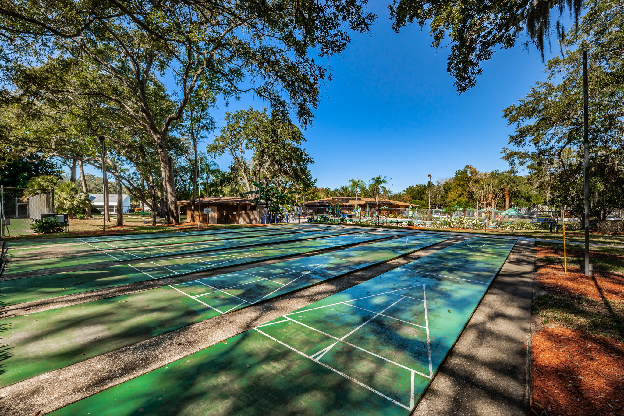 10-Shuffleboard