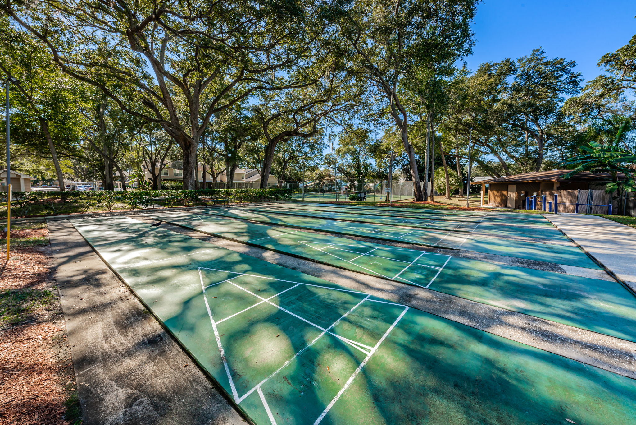 11-Shuffleboard