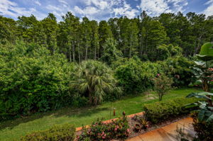 Screened Balcony3 View