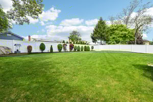 Galaxie Ln-0905-047.jpg