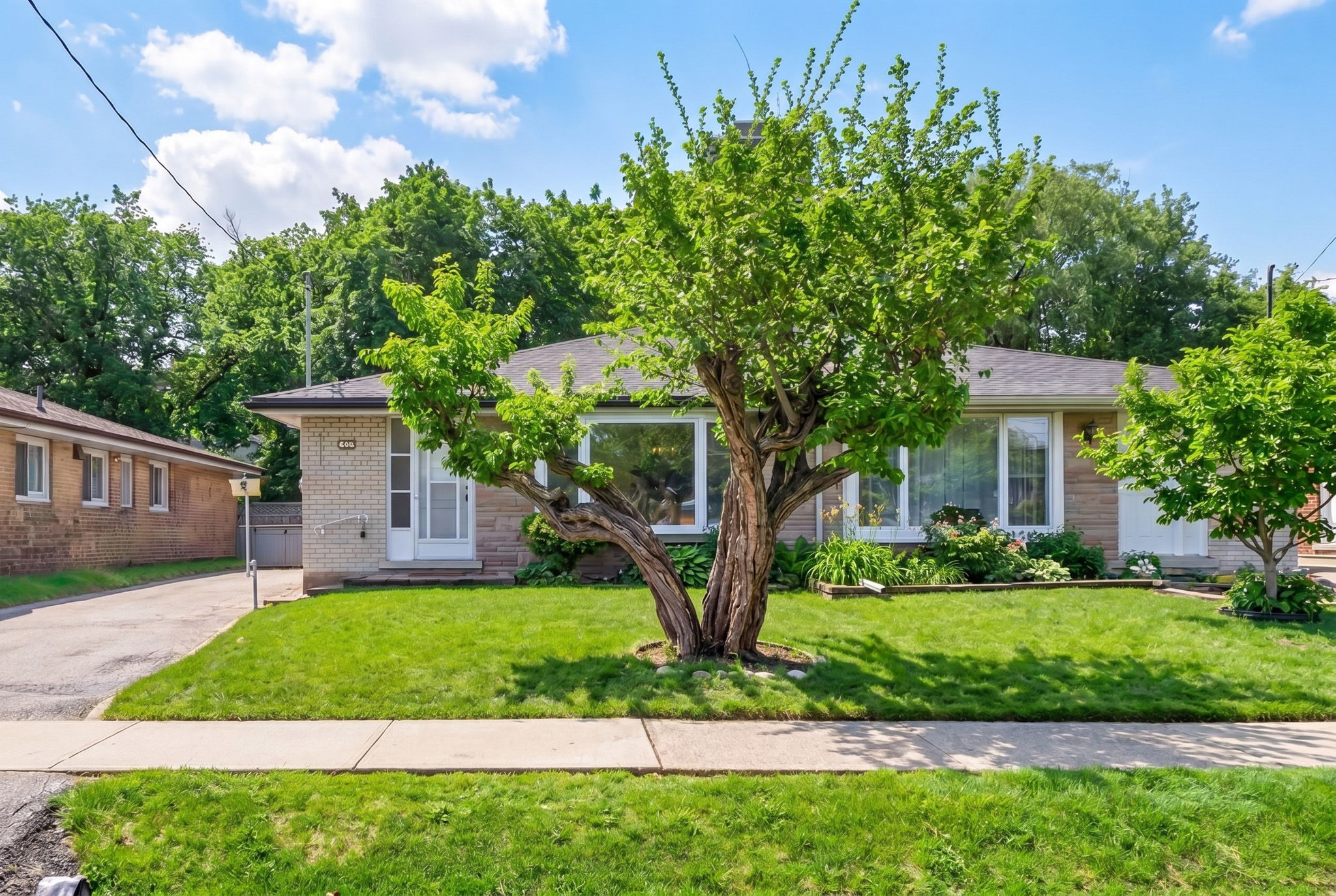 22 Lormar Dr, Etobicoke, ON M9B 4V6, Canada Photo 2