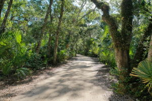 Walkway to Intracoastal Waterway