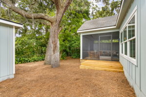 Front Yard