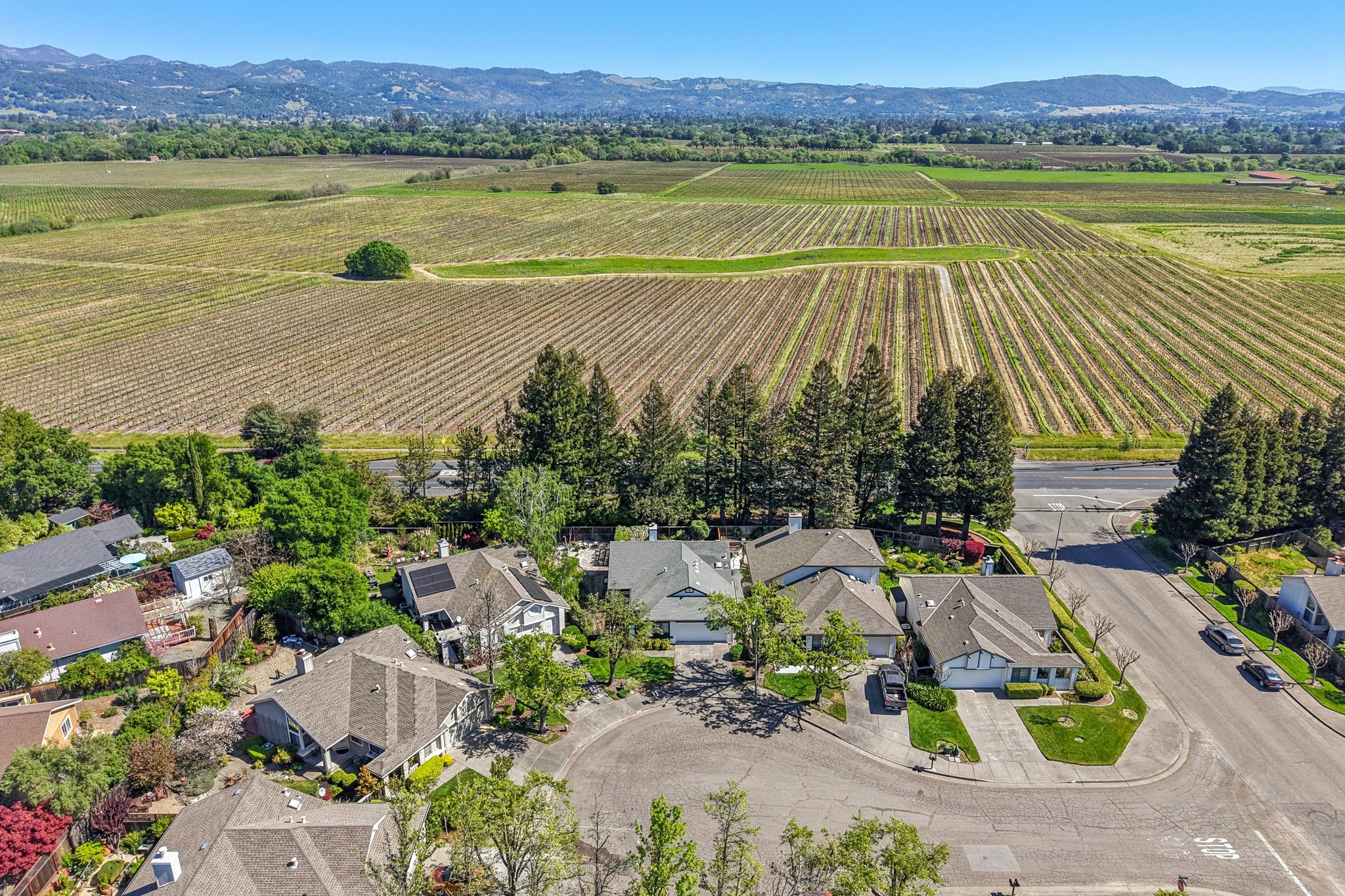 Saint Mathew Ct-S2103-047.jpg