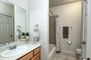 Hall Bathroom