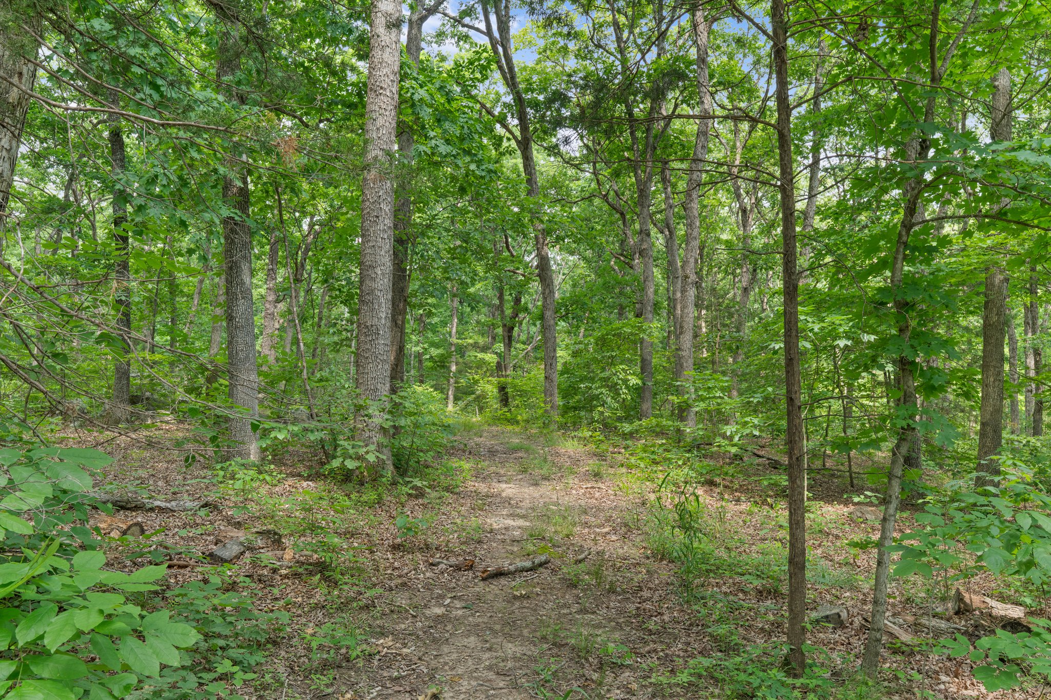  Photo 49