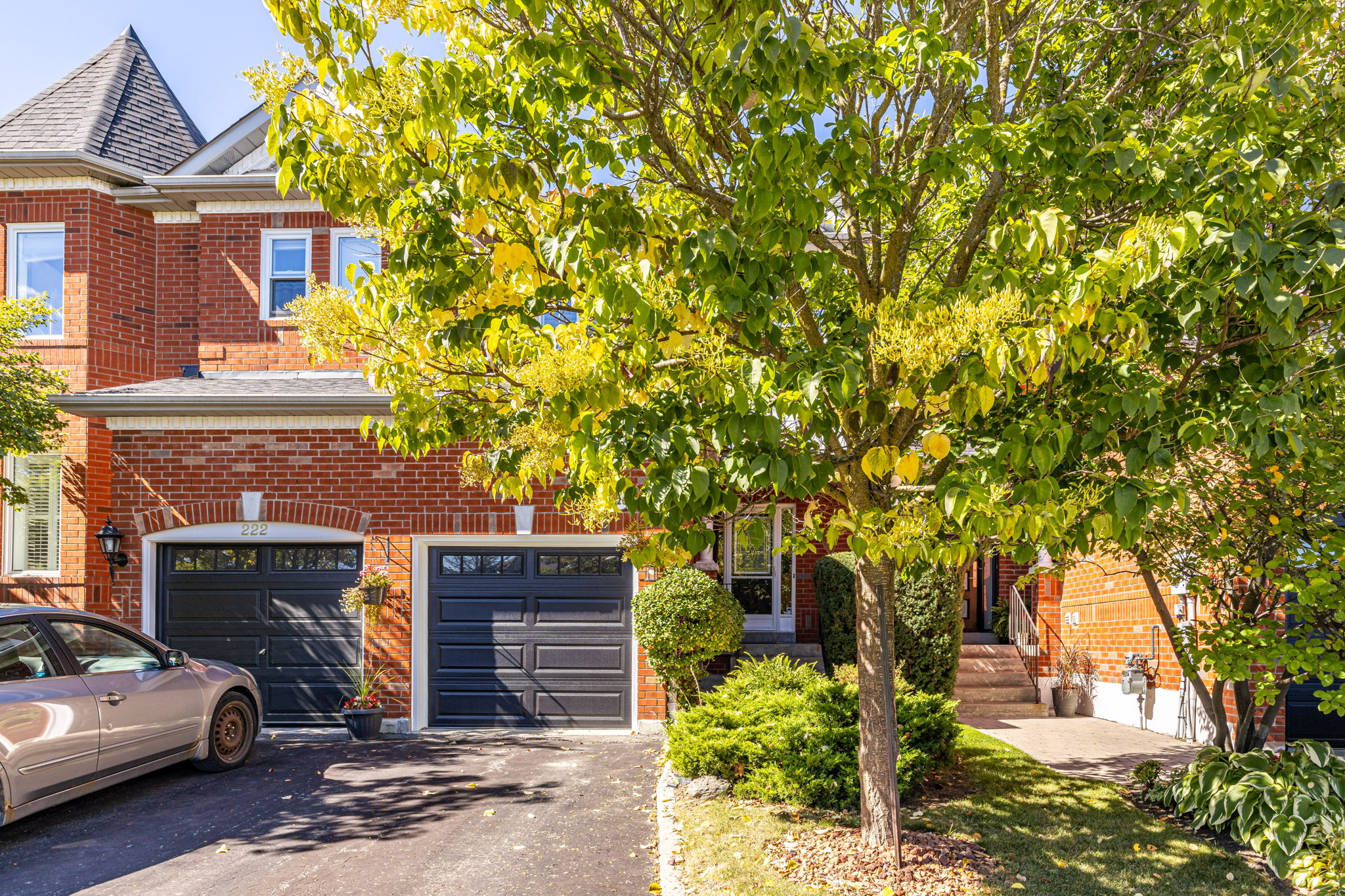Newmarket property showcase — delivered property photograph 3