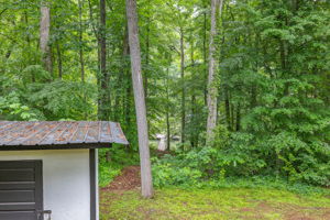 Image-20