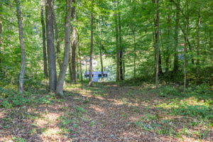 Image-Updated-4