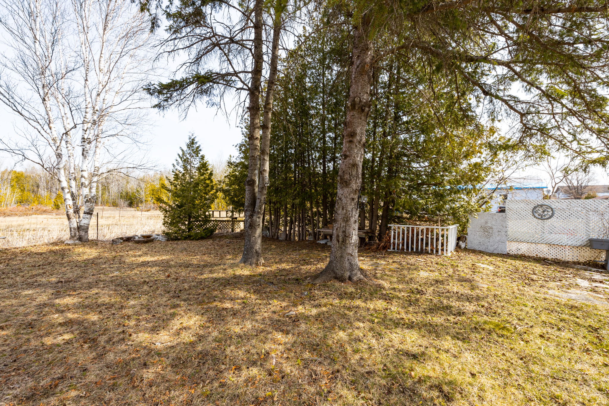 Kirkfield property showcase — delivered property photograph 40