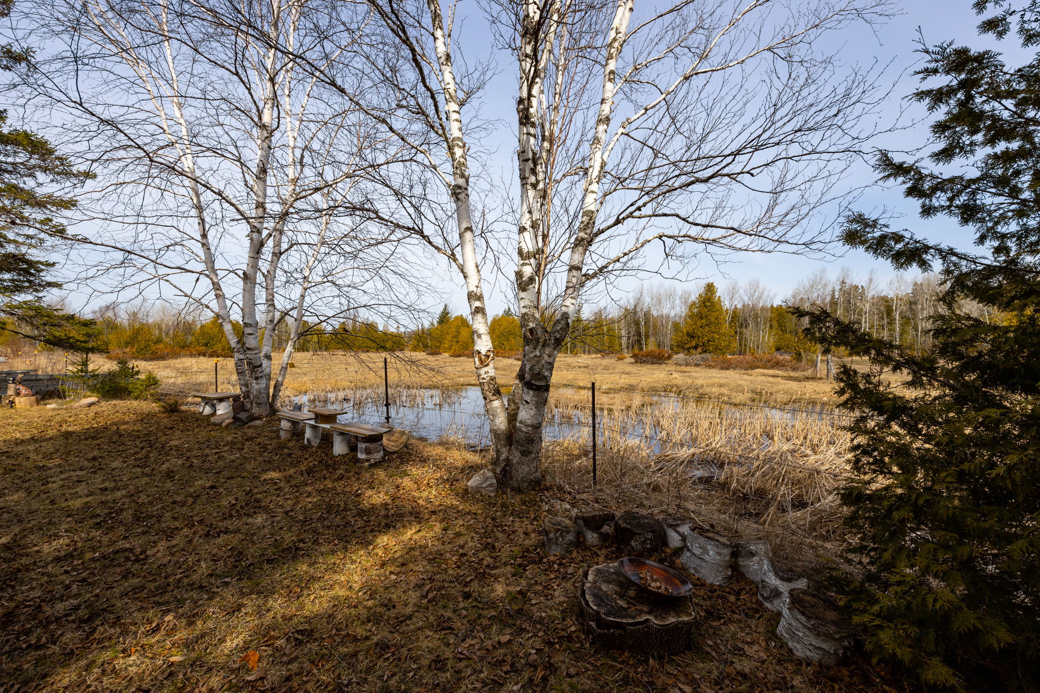 Kirkfield property showcase — delivered property photograph 42