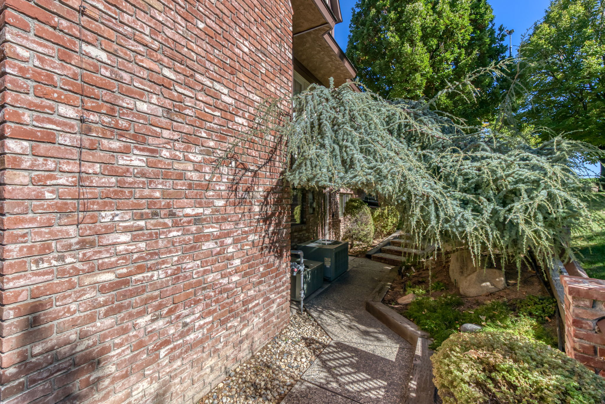 220 Moore Ln, Reno, NV 89509, USA Photo 23