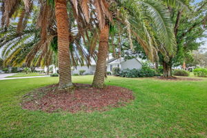 Large Corner Lot