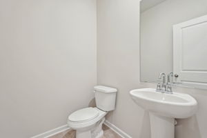 Atlanta - Ivey Township - 220 Proust Circle, Dallas, GA 30132 - 021