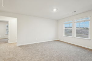 Atlanta - Ivey Township - 220 Proust Circle, Dallas, GA 30132 - 024