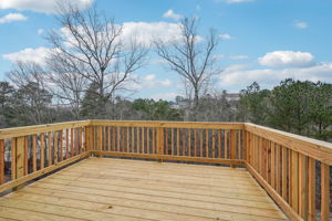 Atlanta - Ivey Township - 220 Proust Circle, Dallas, GA 30132 - 048