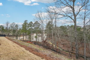 Atlanta - Ivey Township - 220 Proust Circle, Dallas, GA 30132 - 053