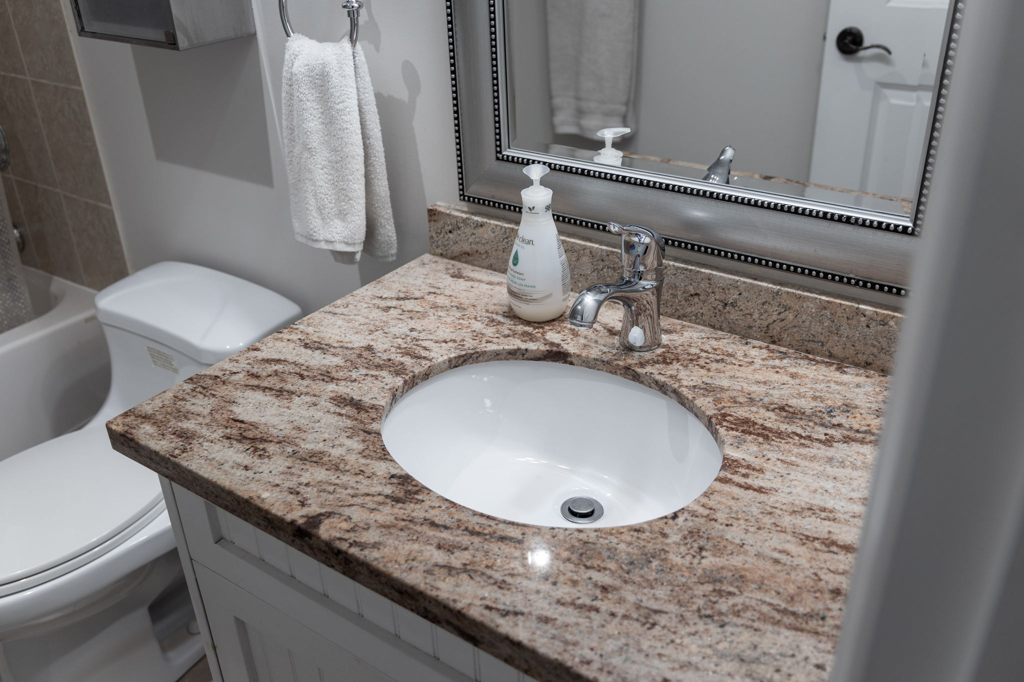 Toronto property showcase — delivered property photograph 74