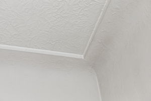Close-up of the coved ceiling and textured plasterwork.