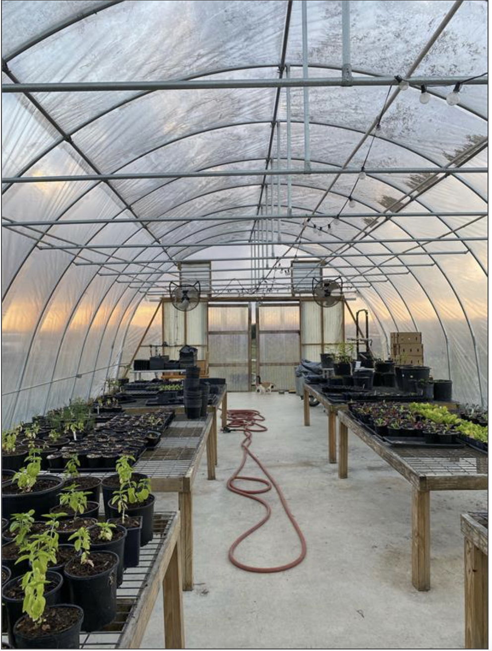 Throwback photo to when the farm was in full swing.