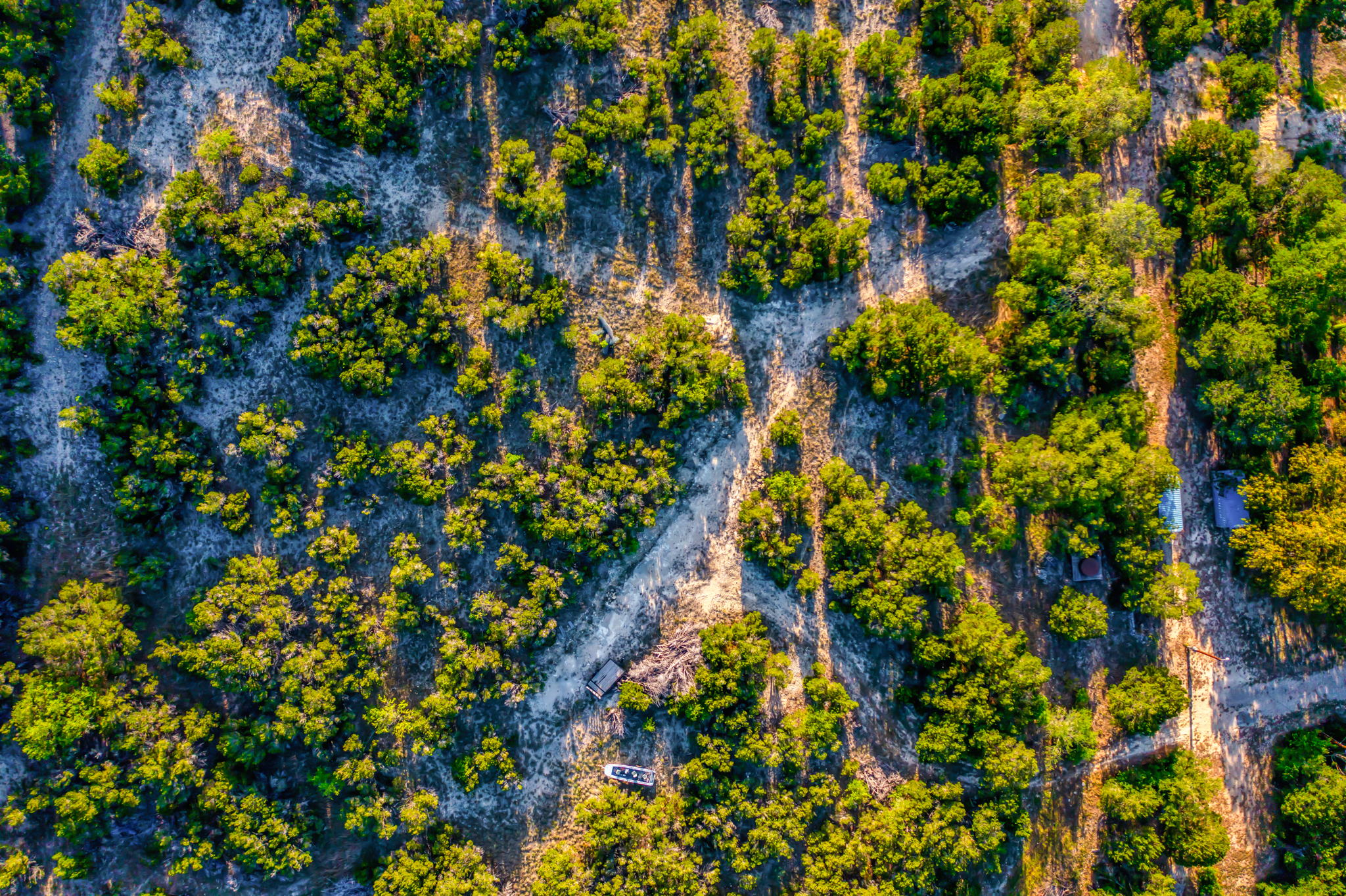 22005 Cold Spring Dr, Leander, TX 78641, USA Photo 24