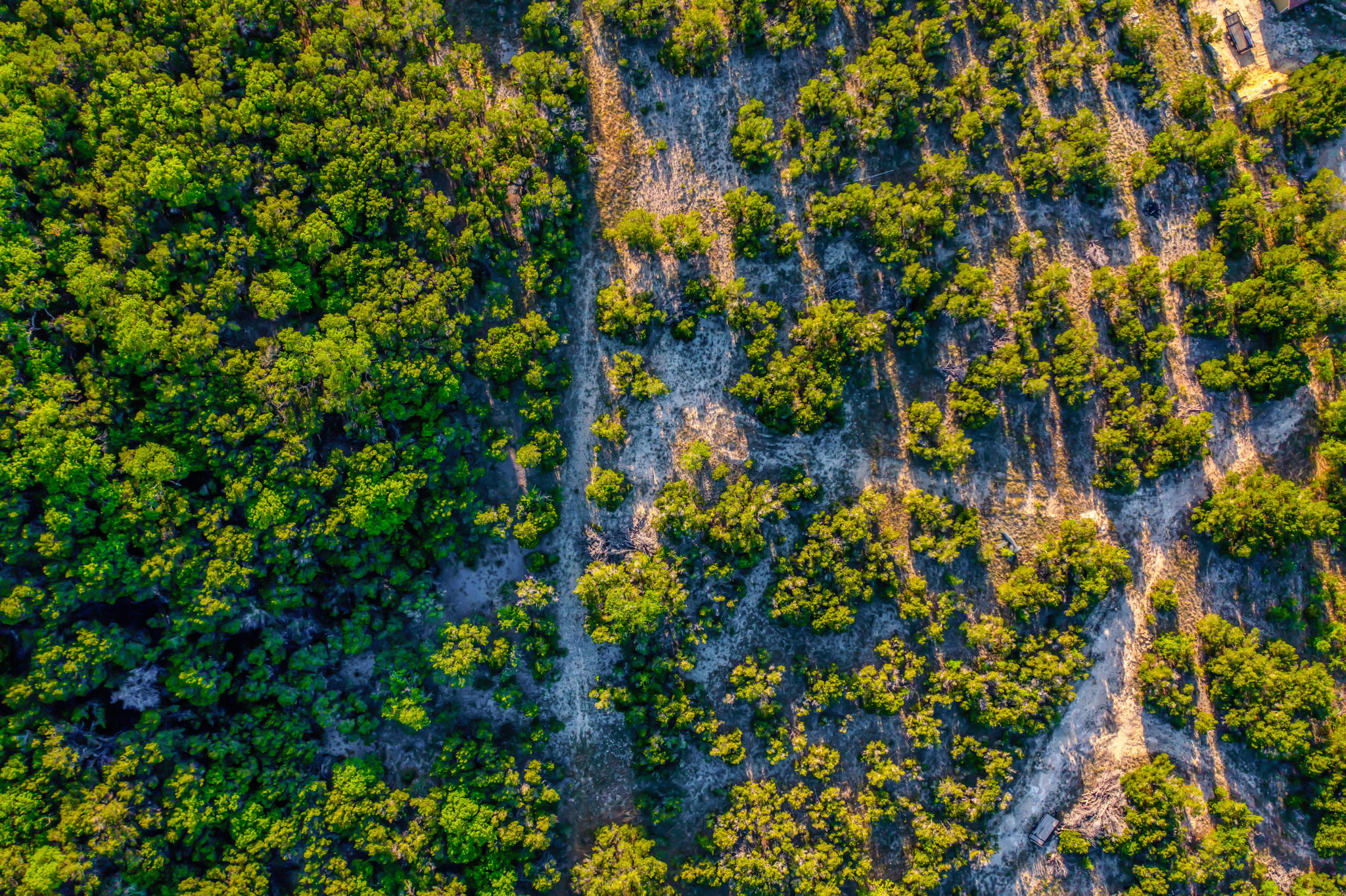 22005 Cold Spring Dr, Leander, TX 78641, USA Photo 23