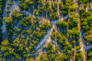 22005 Cold Spring Dr, Leander, TX 78641, USA Photo 23