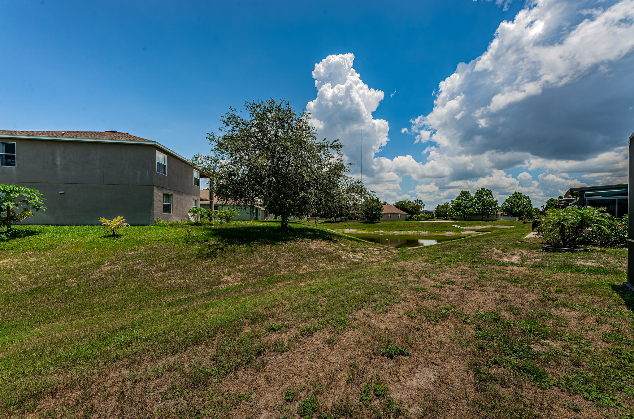 Backyard4