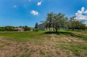 Backyard1