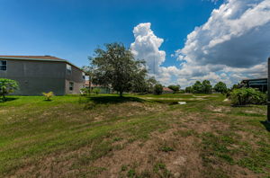 Backyard4