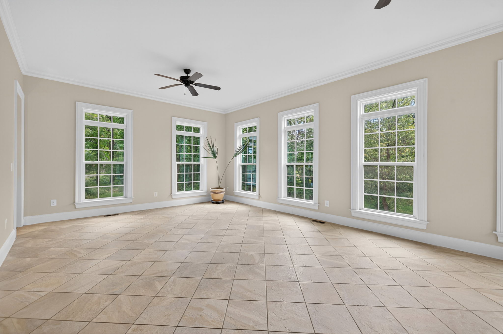  Photo 149