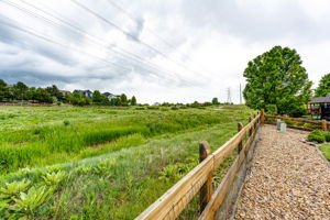 Peaceful Open Space/Greenbelt