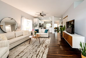 Large Living Room