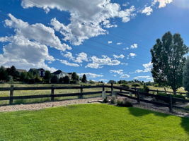 Peaceful Backyard Views