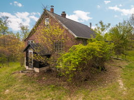  Photo 41