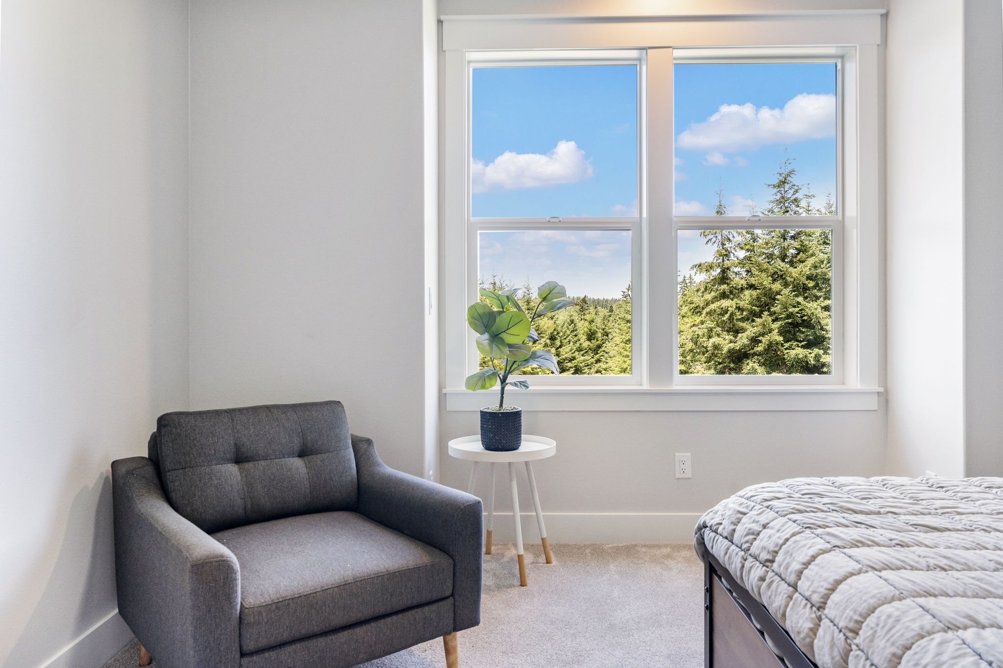  Photo 107