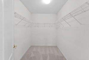  Photo 50