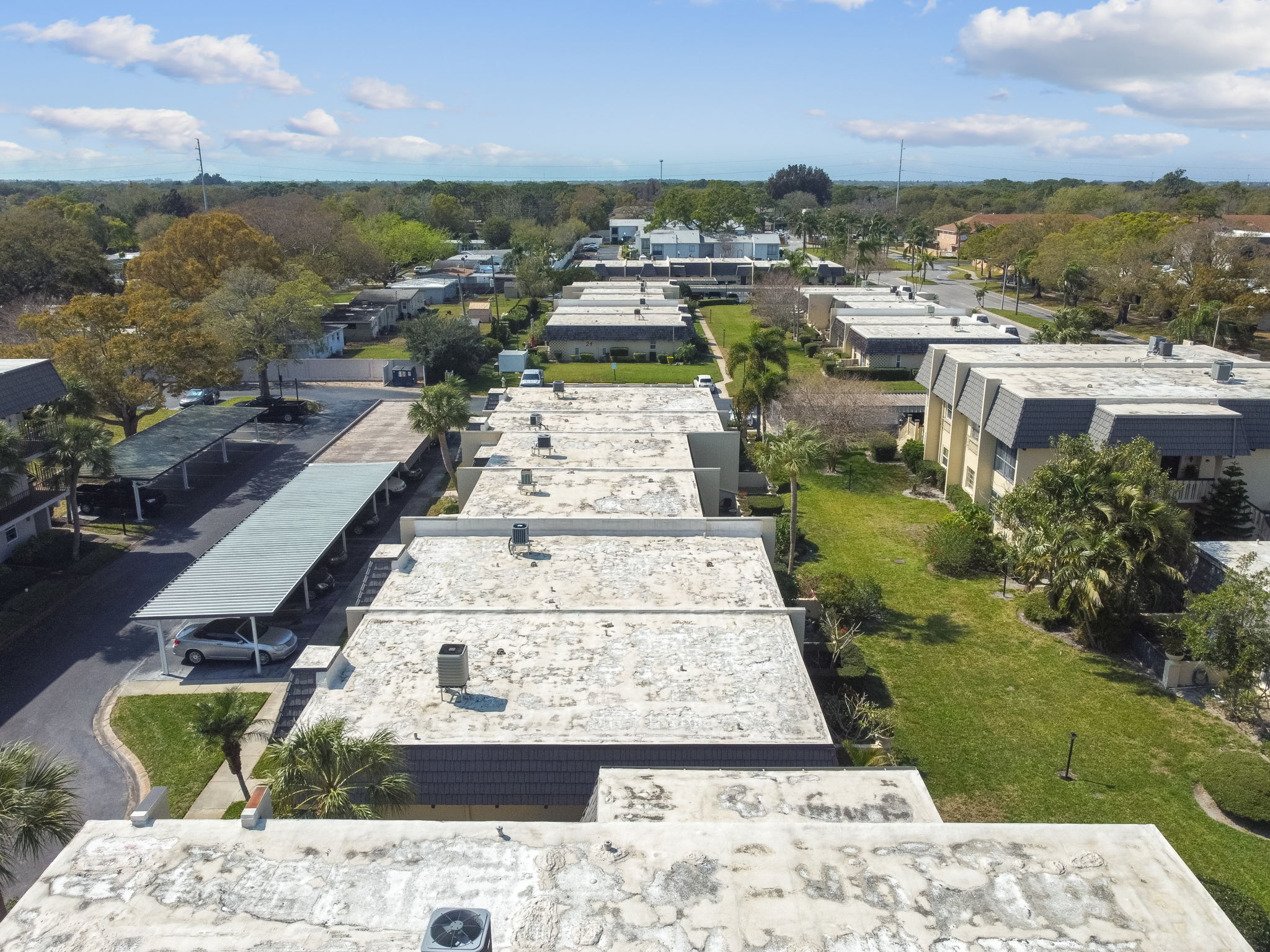 DJI_0881