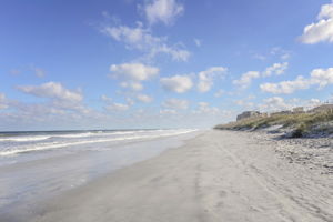  Photo 49