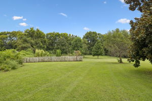  Photo 100