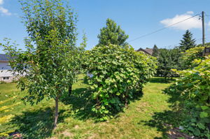  Photo 52