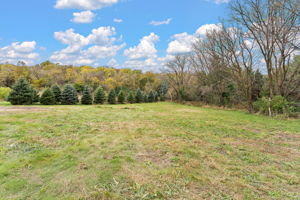 UAV Vision Media (8)